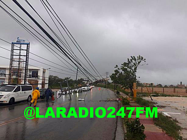 Vientos derriban árboles y tendido eléctrico