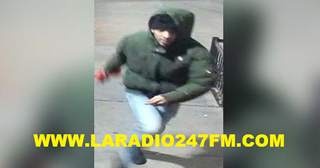 Buscan hispano por crimen en Brooklyn