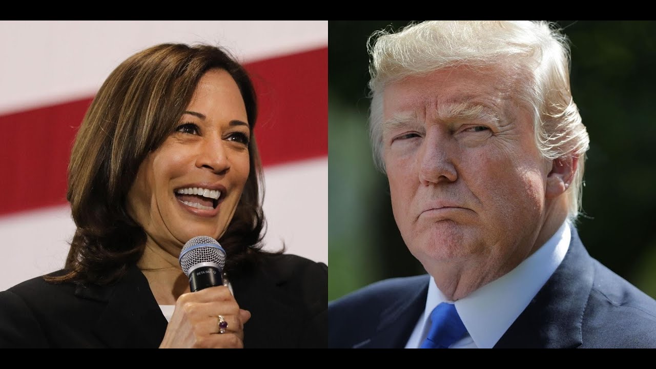 Donald Trump y Kamala Harris intercambian insultos en la campaña presidencial de EEUU